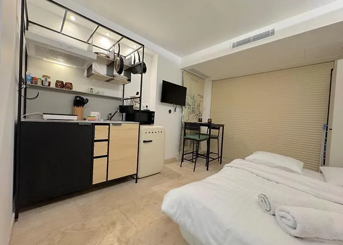 ⁂ Vieux-nice Climatise: Charme Commodites Apartmán