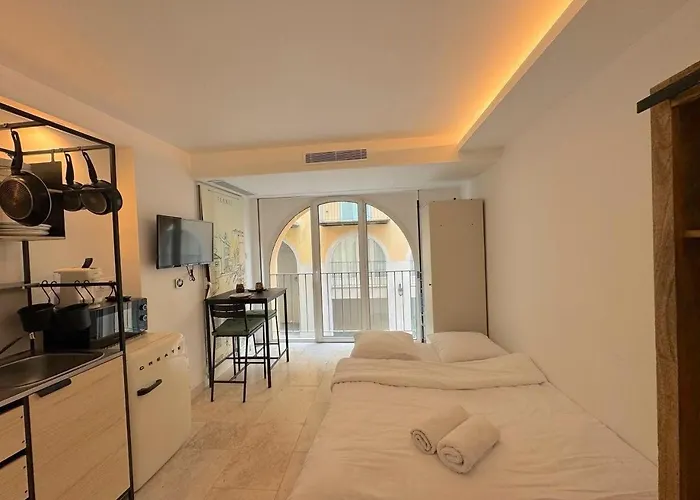 ⁂ Vieux-nice Climatise: Charme Commodites Nice