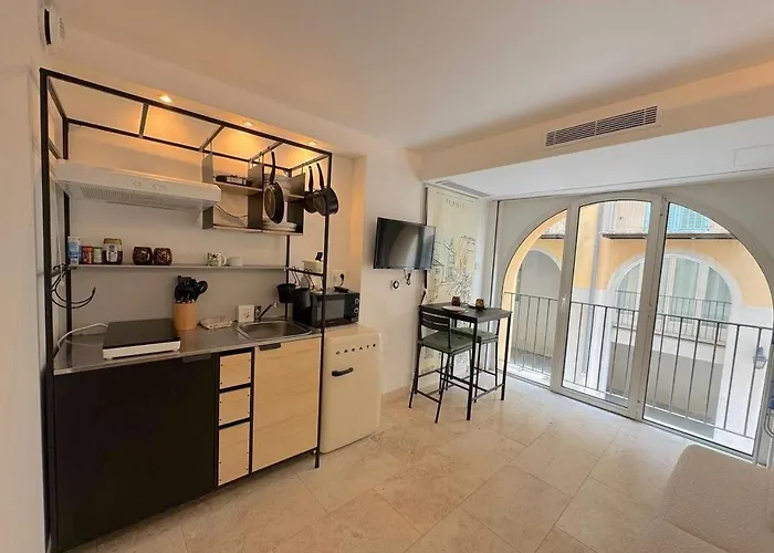 ⁂ Vieux-nice Climatise: Charme Commodites